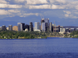 Bellevue City Skyline